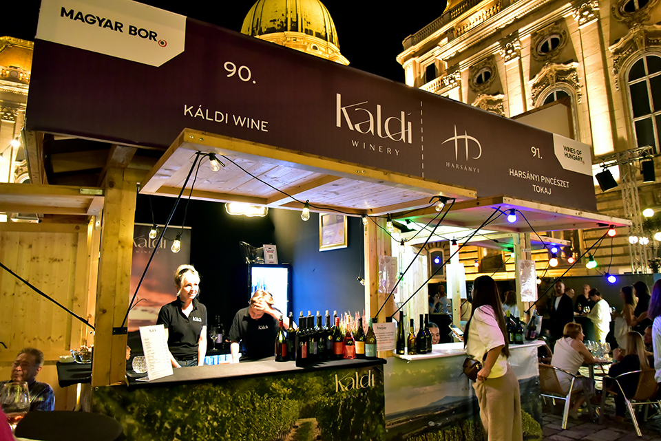 25borfeszt Riport 37.jpg