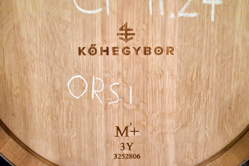 Kohegybor 14.jpg