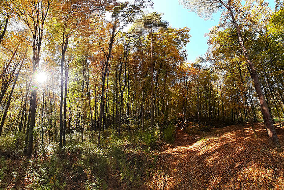 Bonne chance 03111 erdo