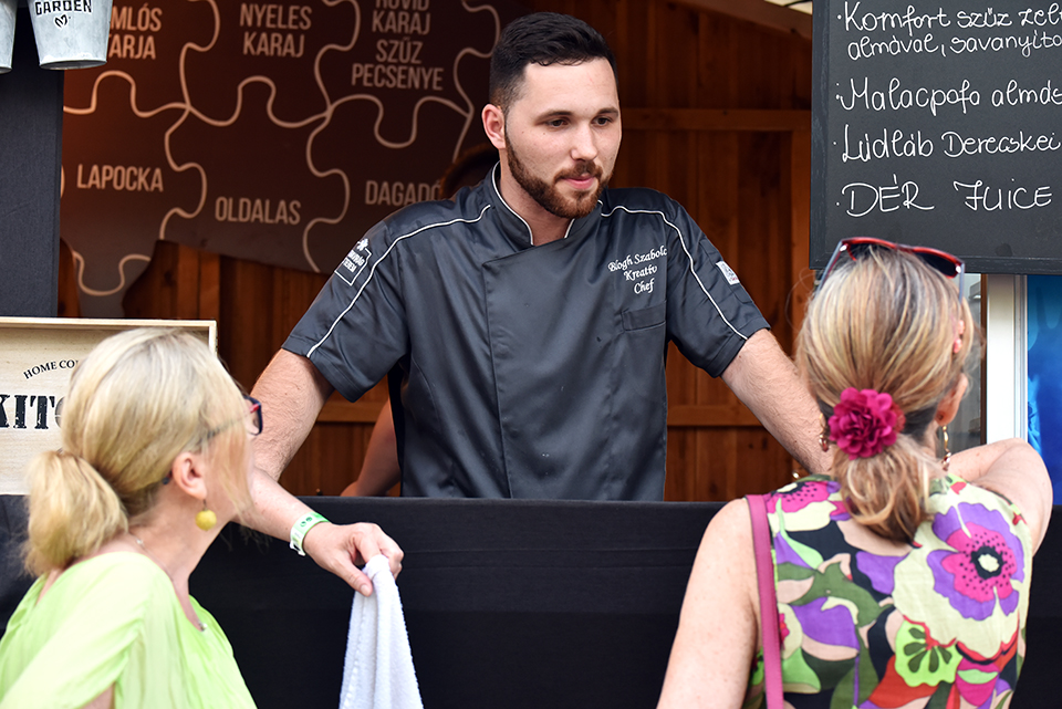 debrecziner gourmet 10