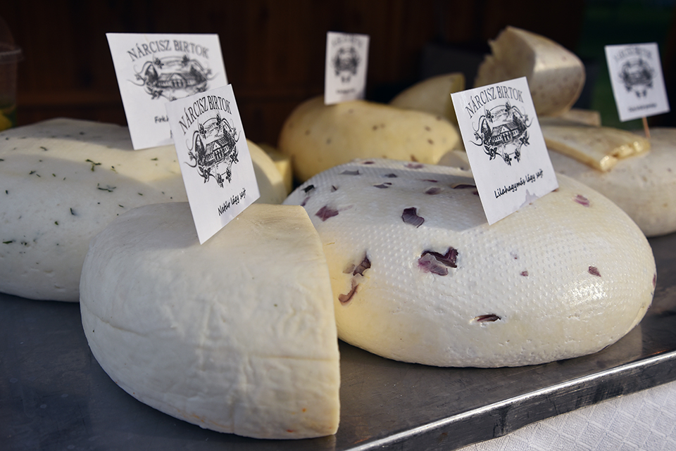 debrecziner gourmet 21