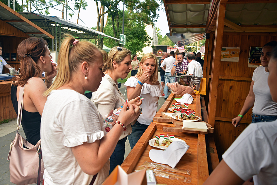 debrecziner gourmet 22