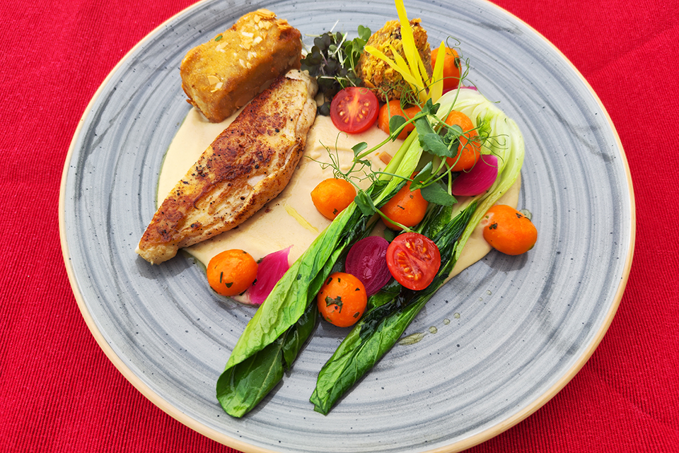 25val2 étterem vasmacska02