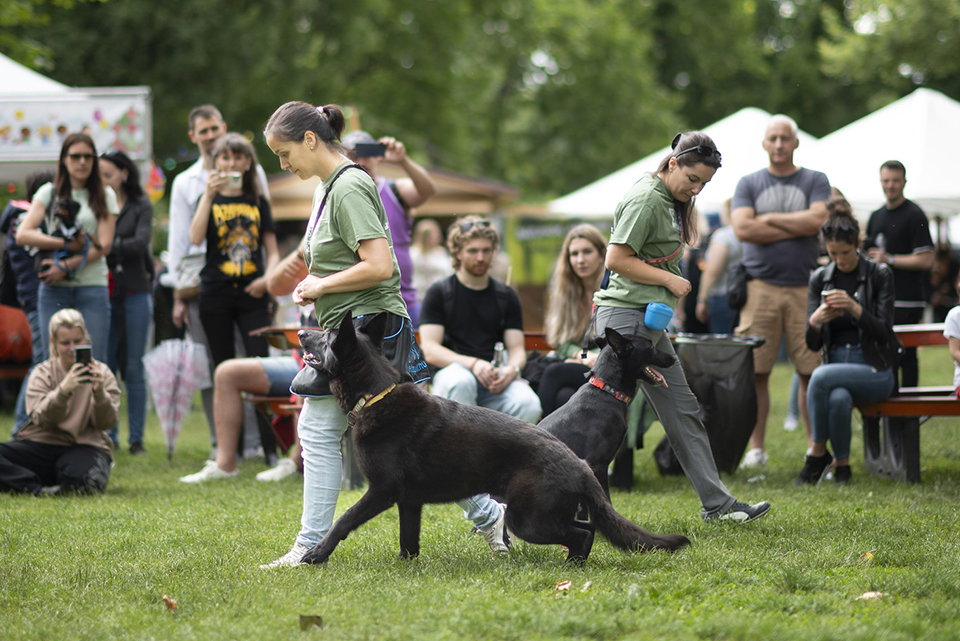 beharangozo rosal 25 06