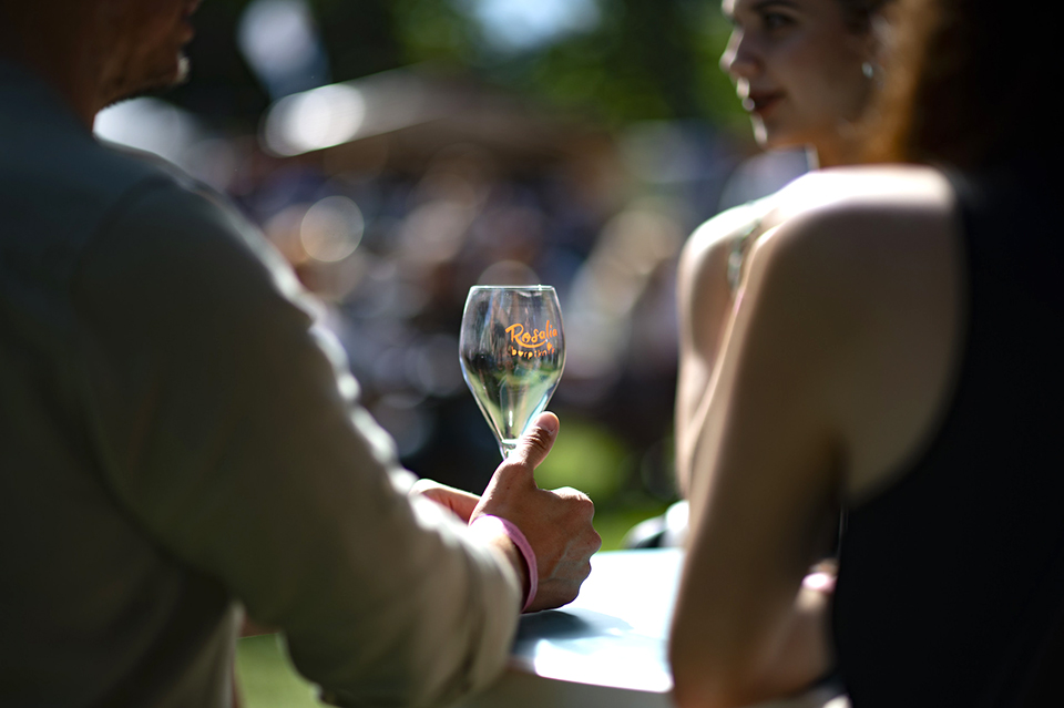 beharangozo rosal 25 11