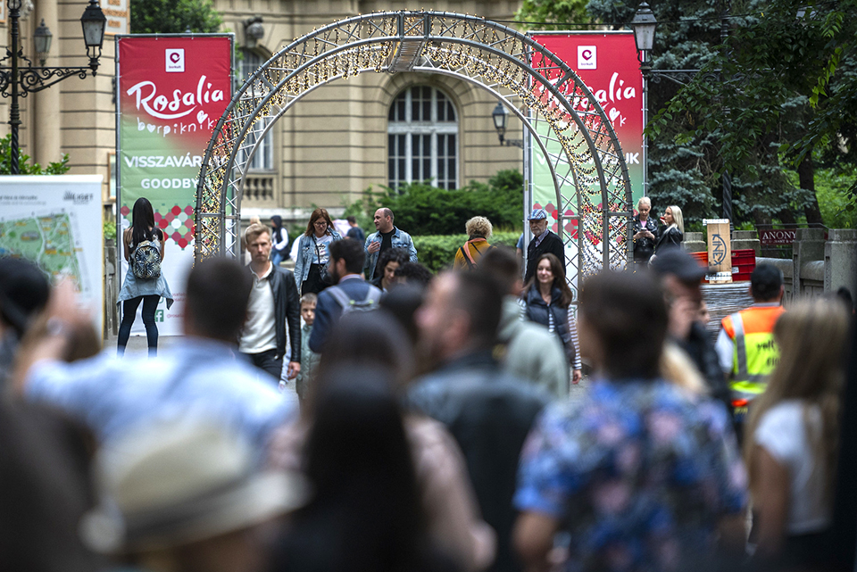 beharangozo rosal 25 16