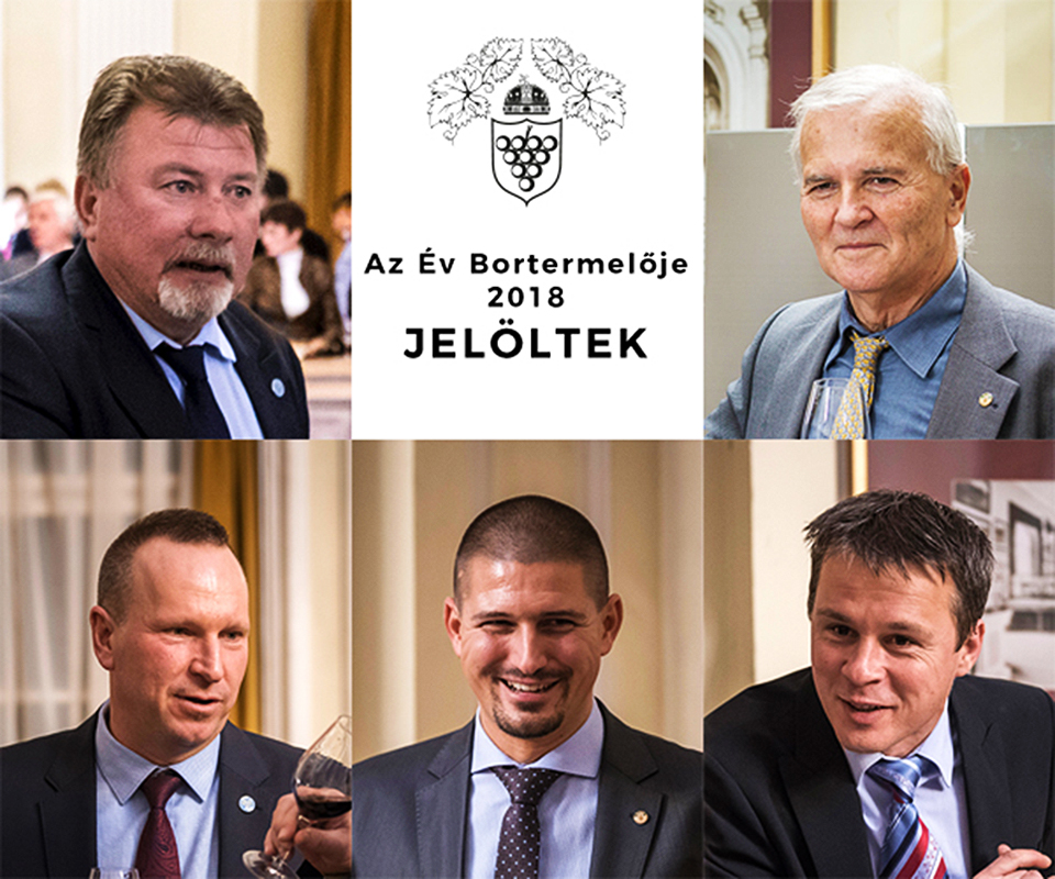bortermelo jelolt 2018 02