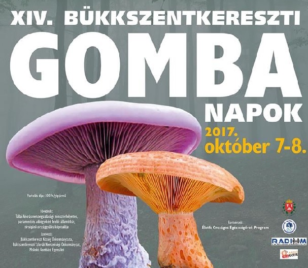 gomba