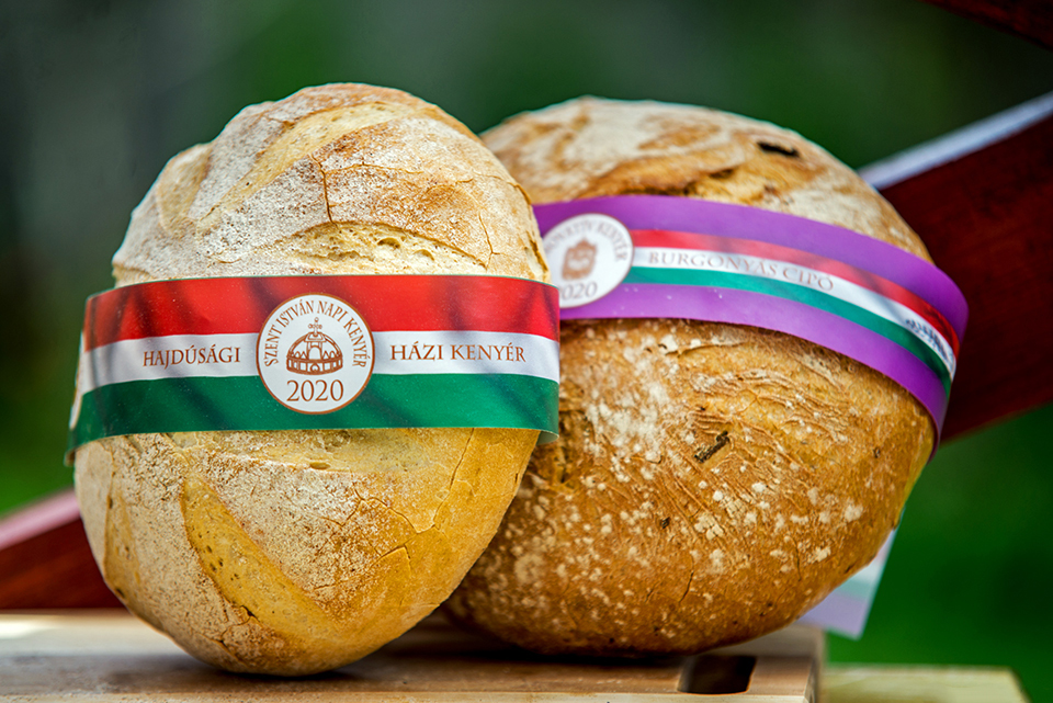2020 orszag torta 01