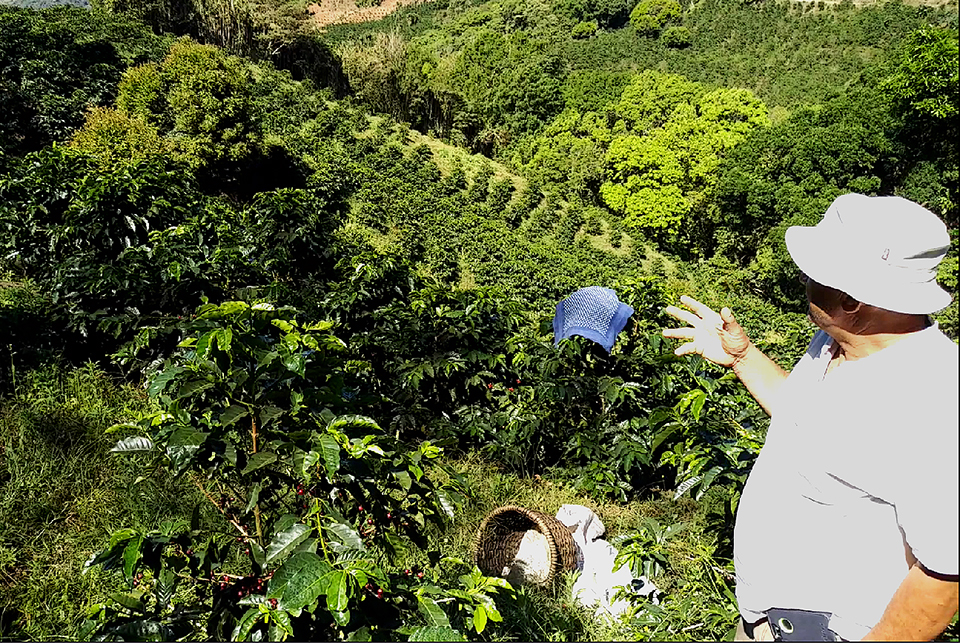 bányai tothsanyi 01