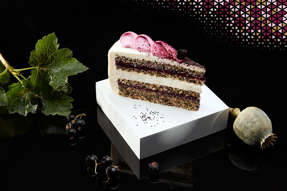 motorta 24 makvirag2