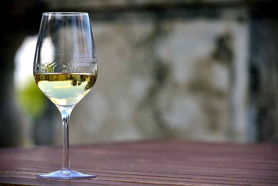 25borfeszt riport 31