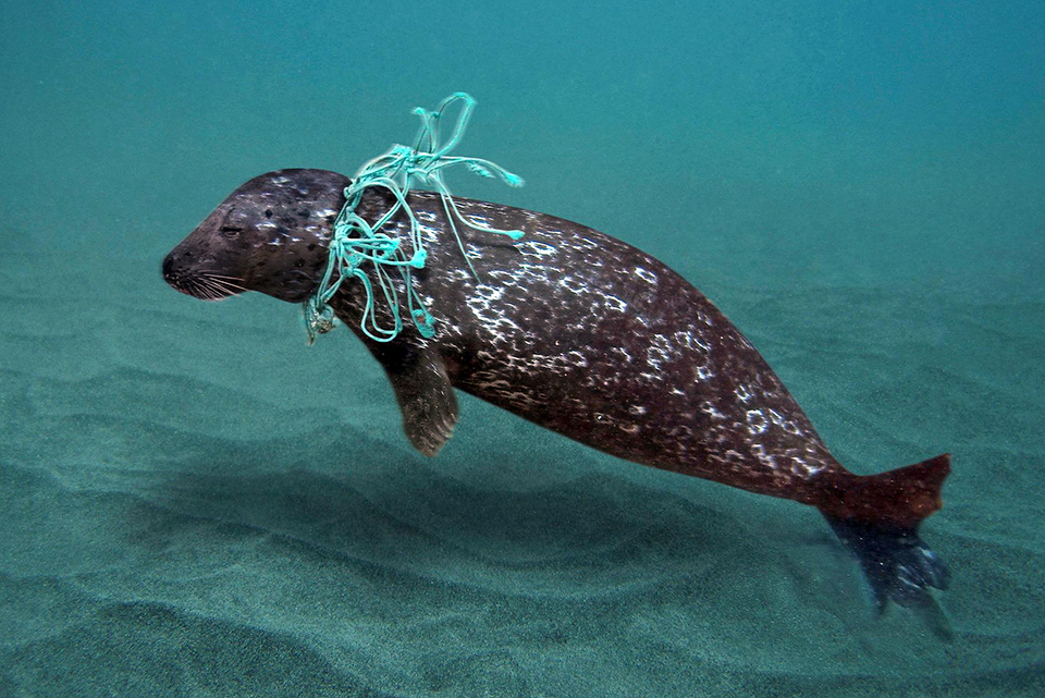 csomagolasmentes ndla 04