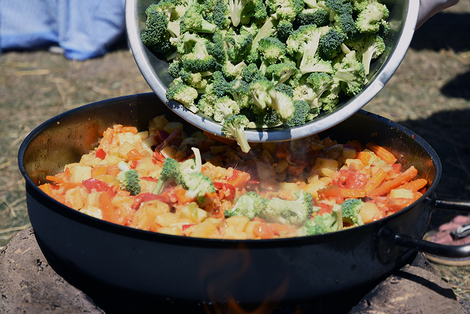 india varazsa 2018 04