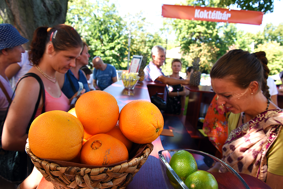 india varazsa 2018 08