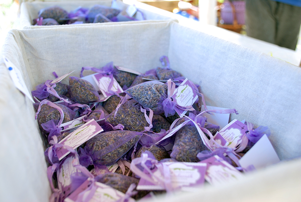 levendula szuret jeno 06