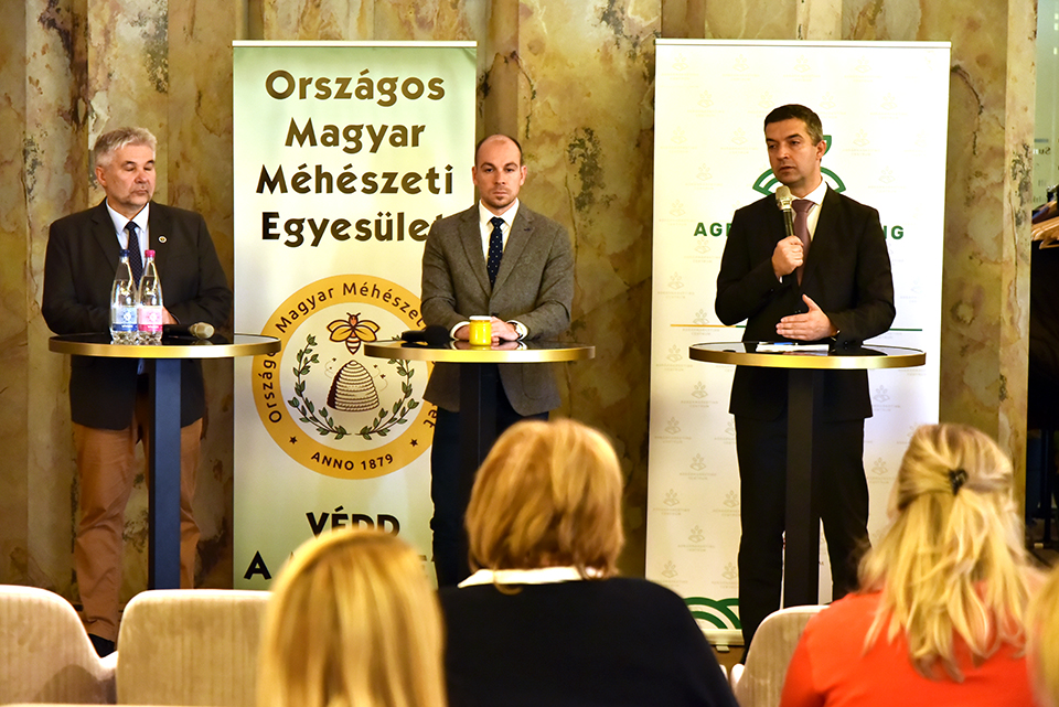 napraforgóméz 01