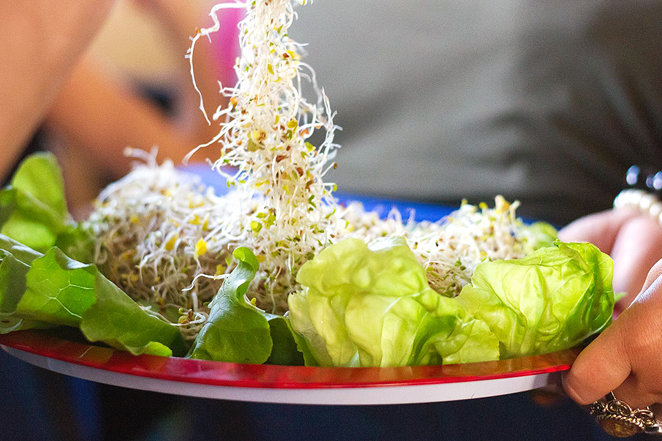 vega feszt kobanya 01