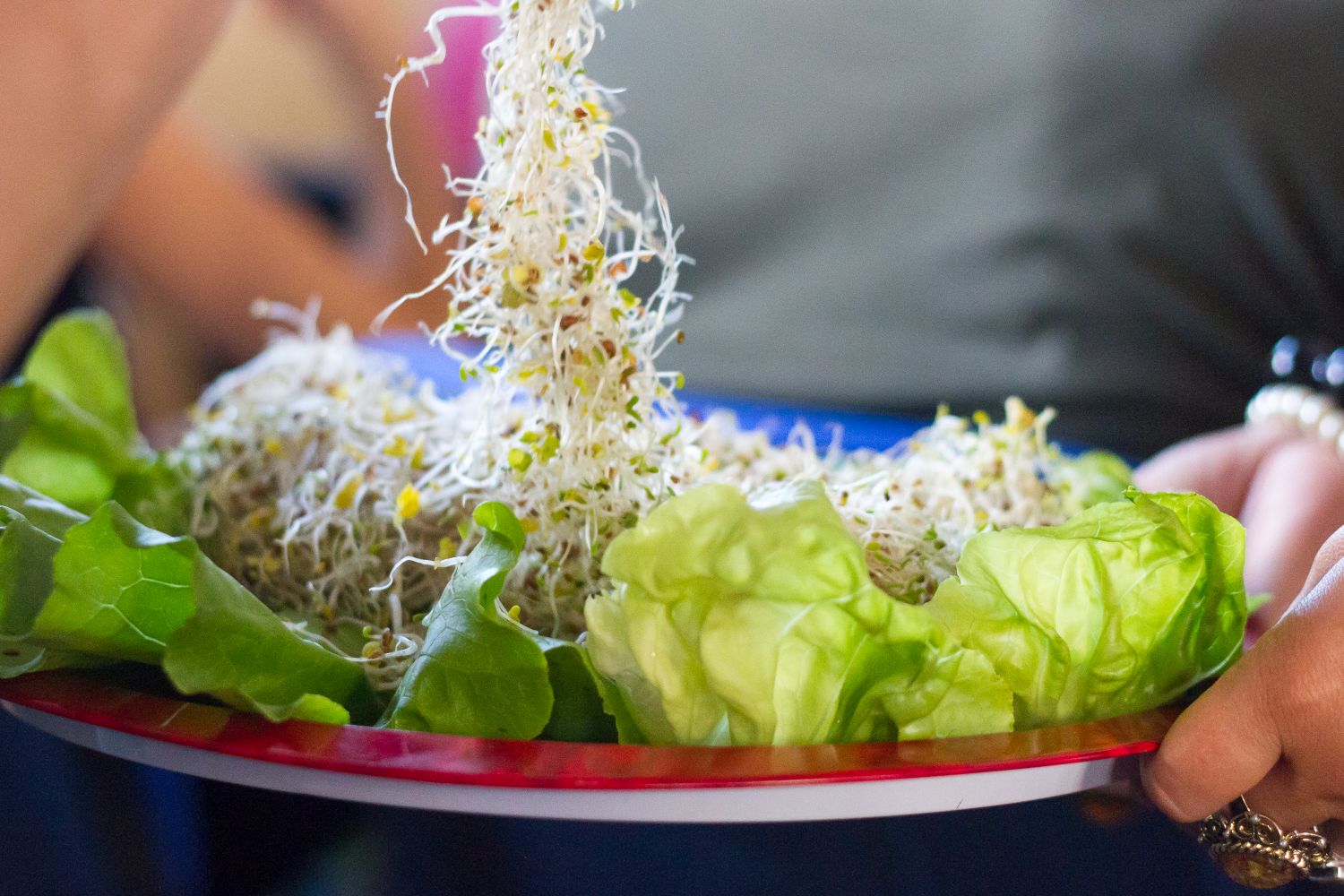 vegafesztival kisebb