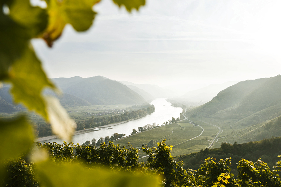 also ausztria borősz 03