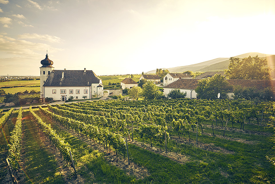 also ausztria borősz 081