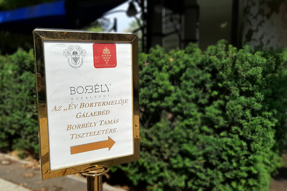 borbely tamas galaebed 01