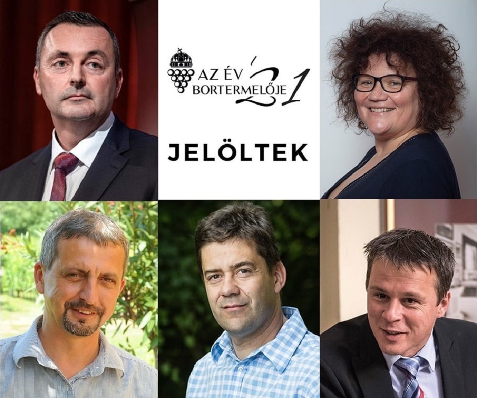 evborasza 2021 01
