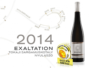 holdvolgy vilag masodik 011