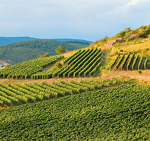 holdvolgy vilag masodik 031