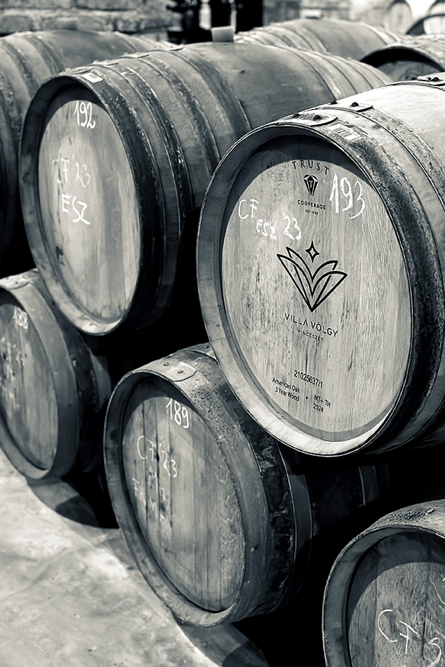 husvet26bor villa 05