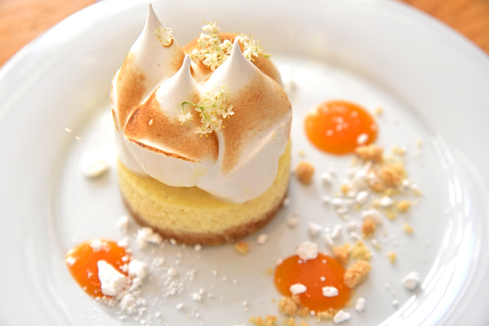 szepsy eletmudíj 0111