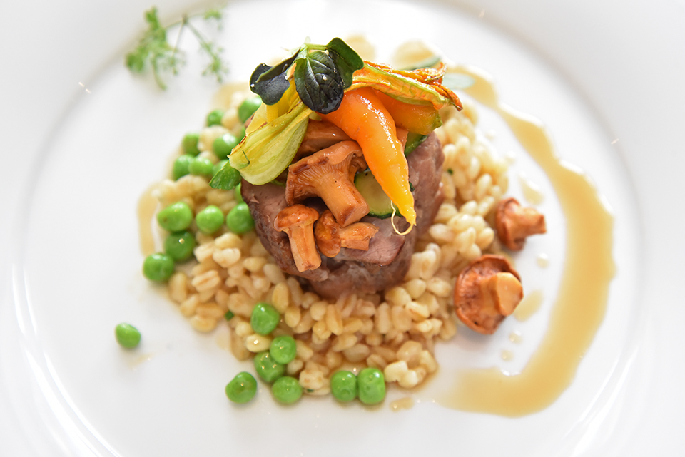 szepsy eletmudíj 02