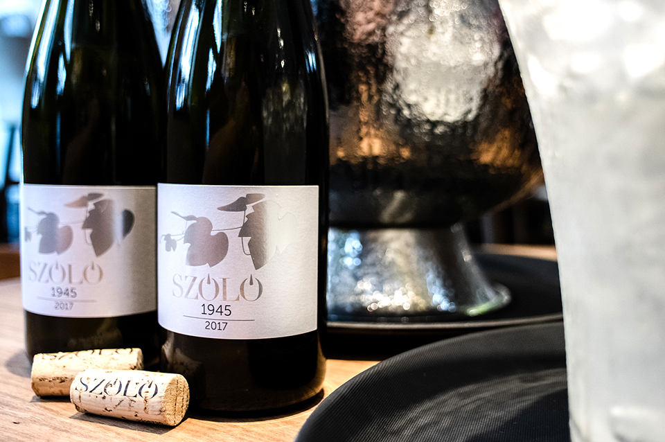 szolo pince 05