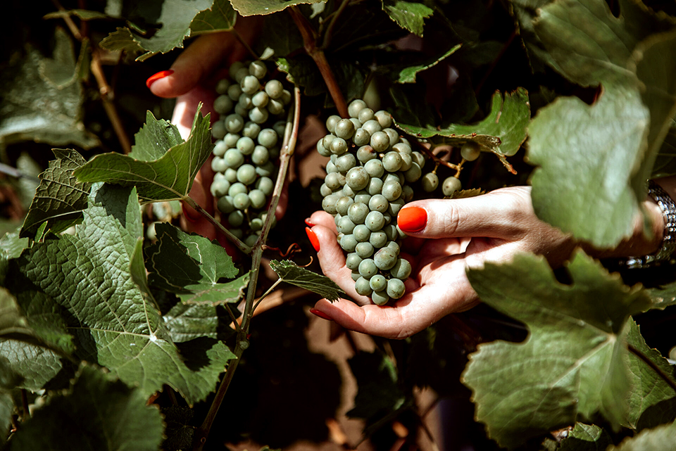 advent25 bor dubicz 01