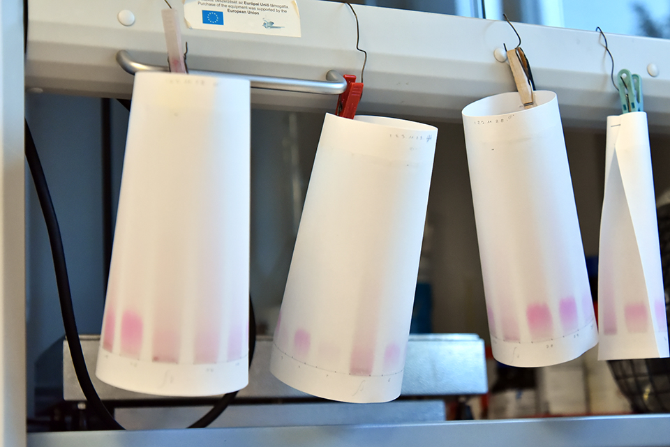 borlabor 07