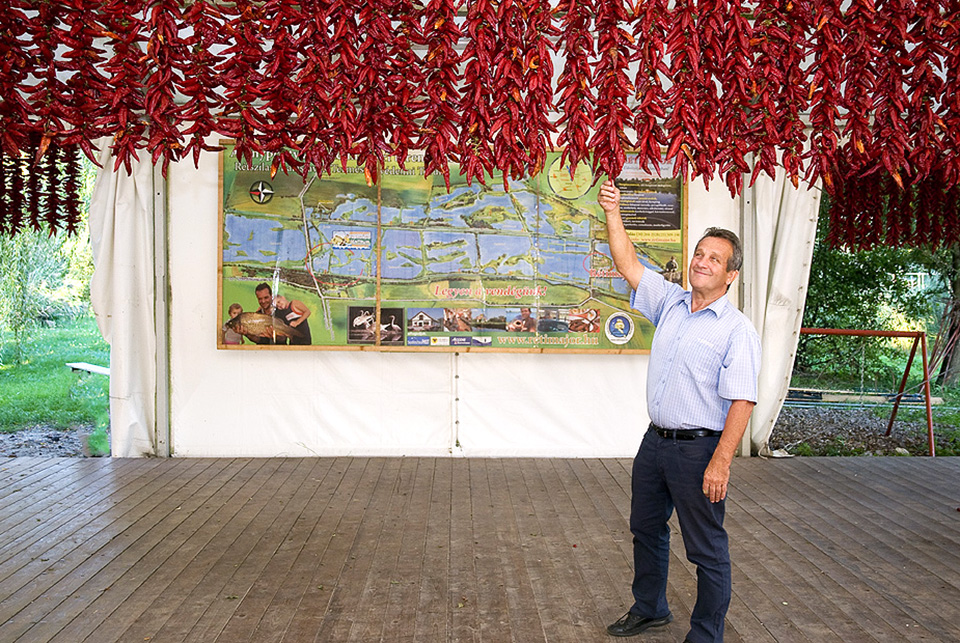 levai ferenc 09