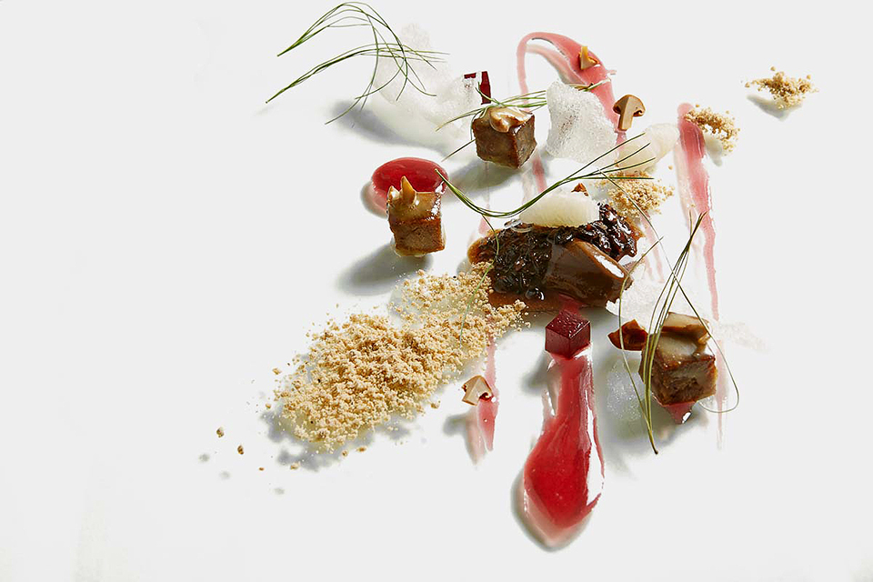 alinea 04