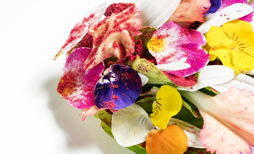 osteria francescana 05